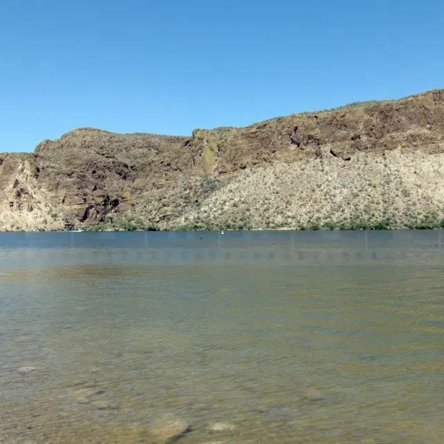 Shore of the Salt River Reservoir with mesquite trees