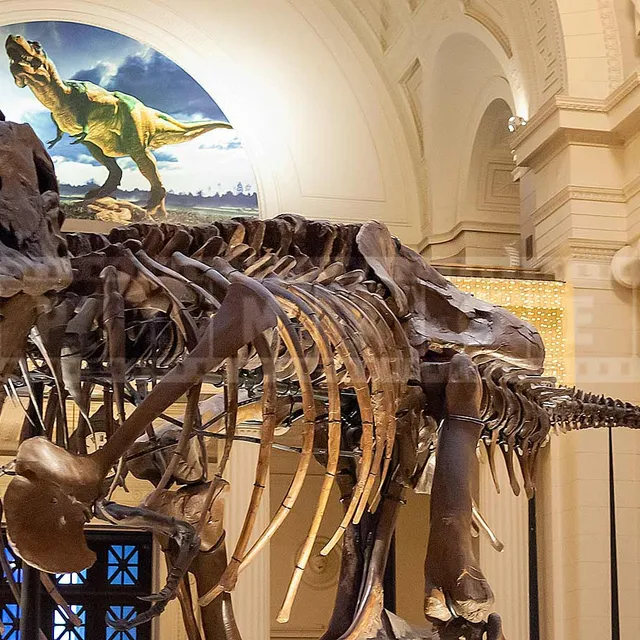 T-Rex Sue skeleton in Chicago Field Museum