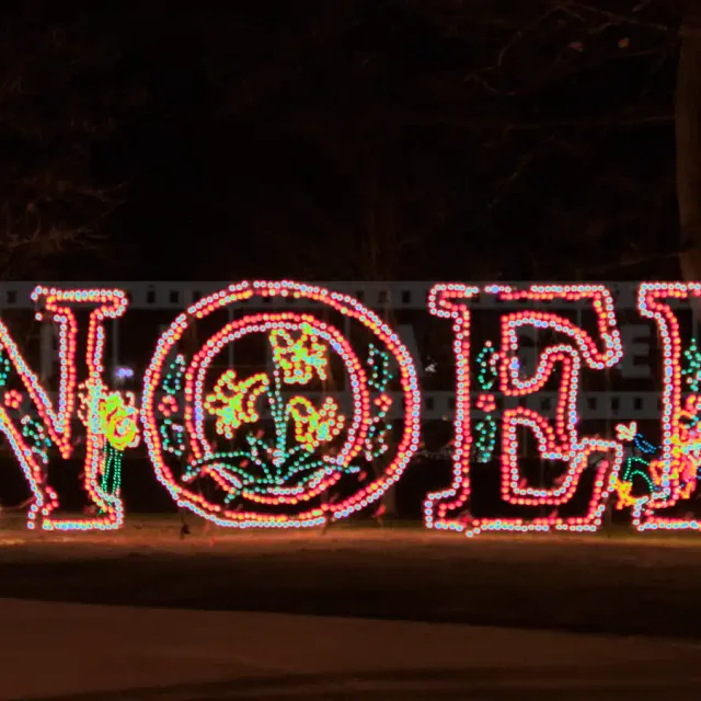 Beautiful xmas lights Noel sign in Albany, NY