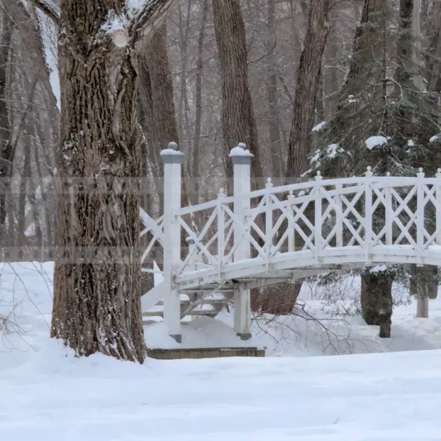 Pretty bridge and Virgin Mary statue