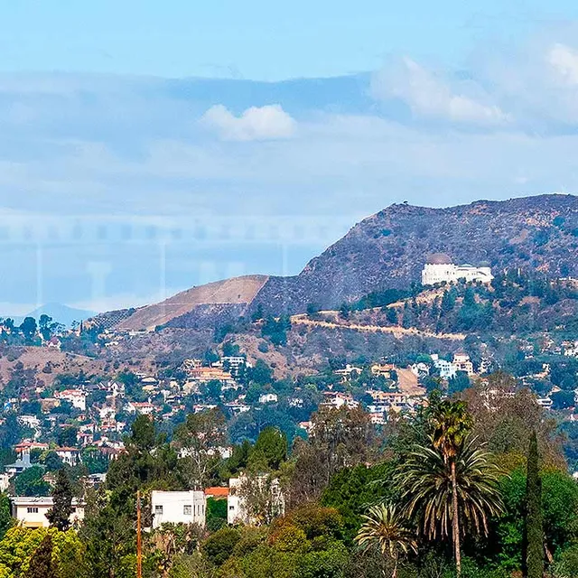 View from Elysian park at Hollywood Hills