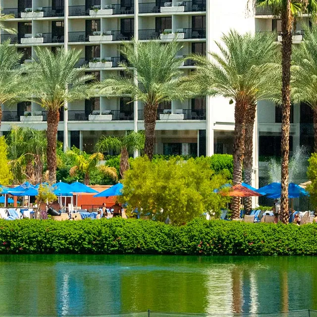Bright Blue Umbrellas and Tall Palm Trees, beautiful grounds at JW Marriott