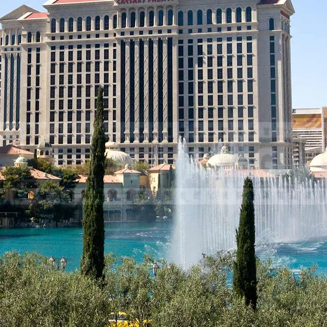 view of the large fountains near Bellagio hotel and casino