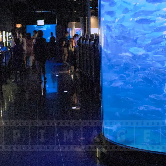 Inside Monaco Aquarium at Oceanographic Museum of Monaco