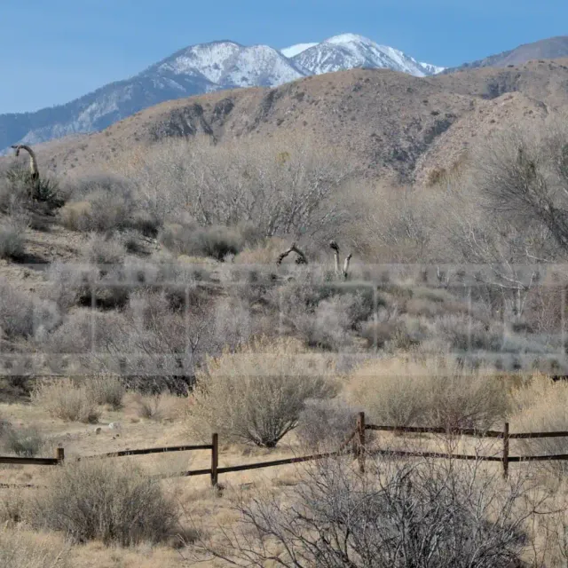 High desert landscape and snow covered mountains at Morongo Preserve
