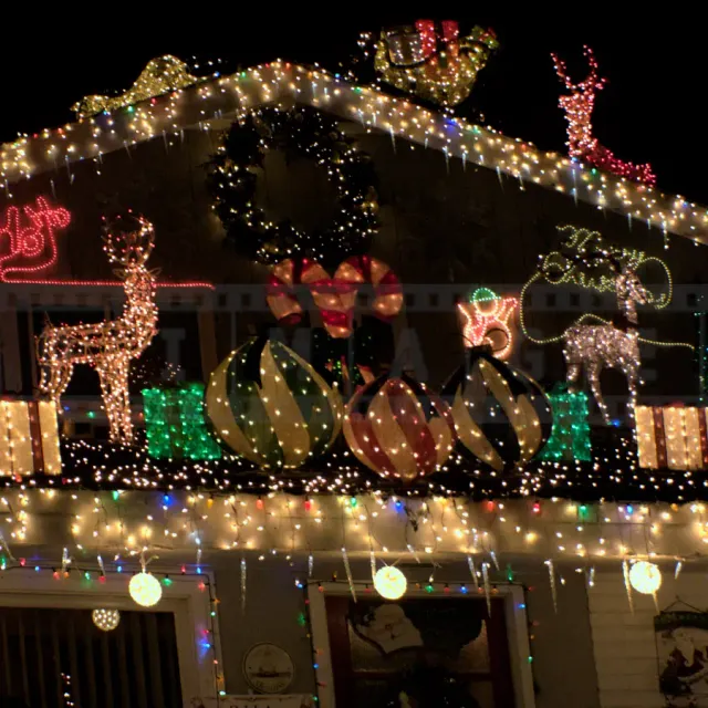 Amazing Christmas Lights on Naples Island