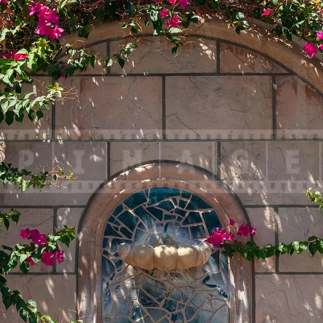 flowering bougainvillea and fountain in Palm Springs