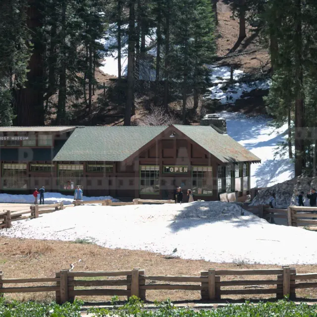 Giant Forest Museum, Sequoia National Park in Sierra Nevada Mountains