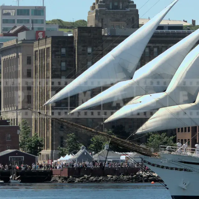 tall ship sailing by Halifax waterfront