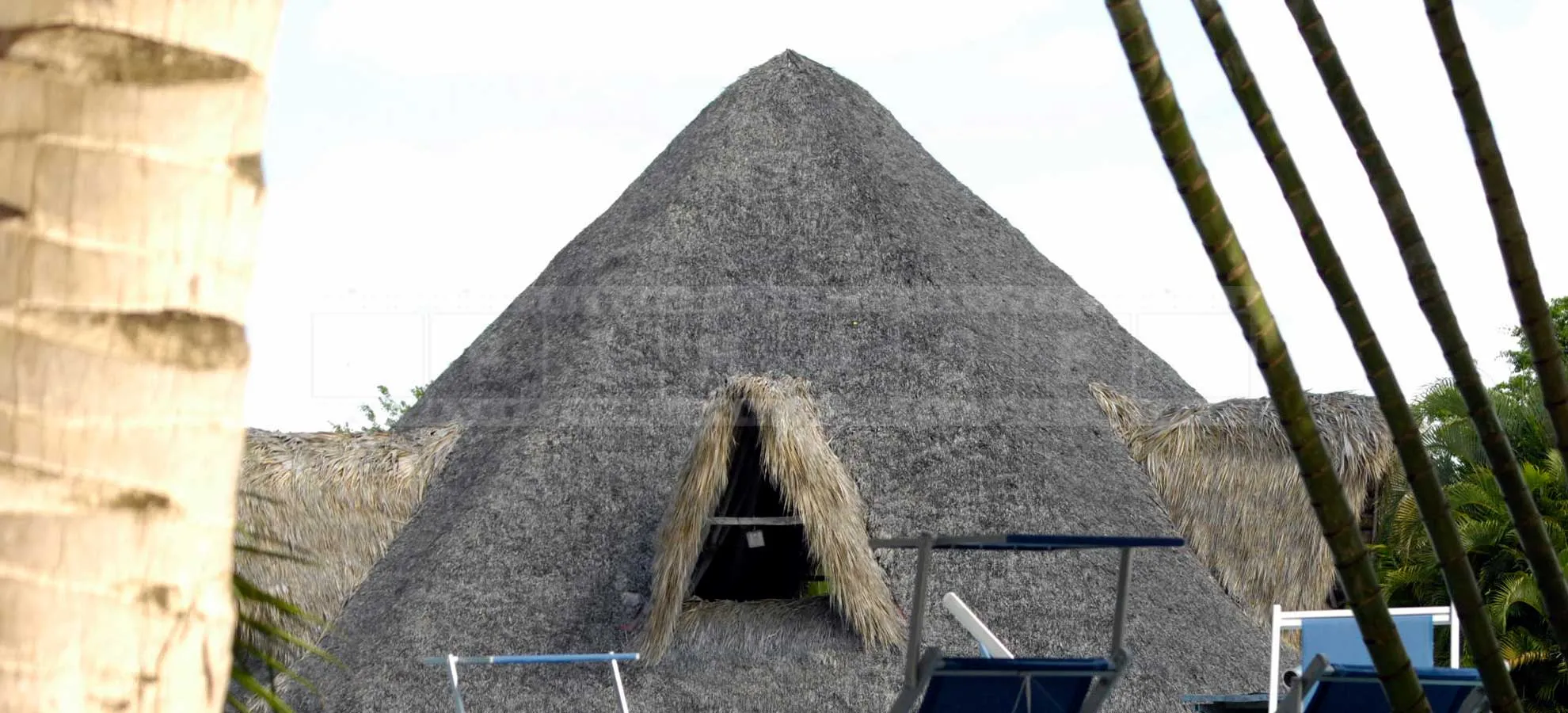 thatched palapa building