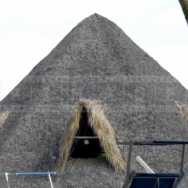 thatched palapa building