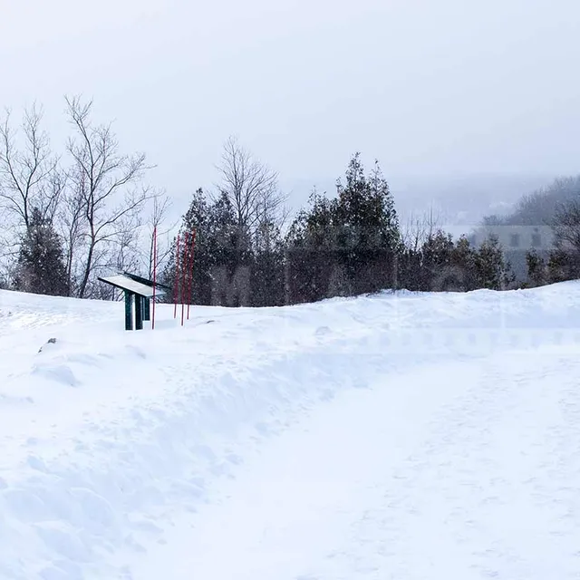 winter trail in plains of abraham park in quebec city